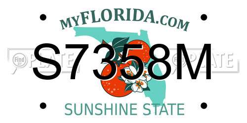 S7358M Florida License Plate