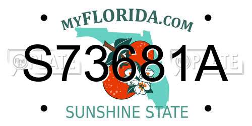 S73681A Florida License Plate