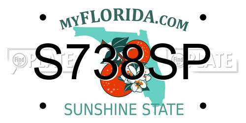 S738SP Florida License Plate