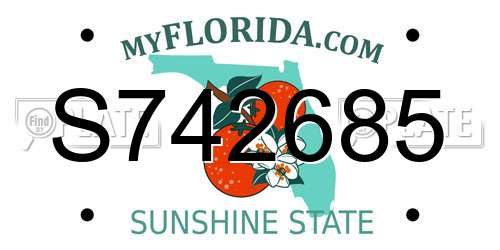 S742685 Florida License Plate