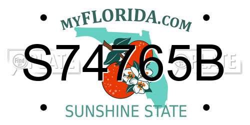 S74765B Florida License Plate