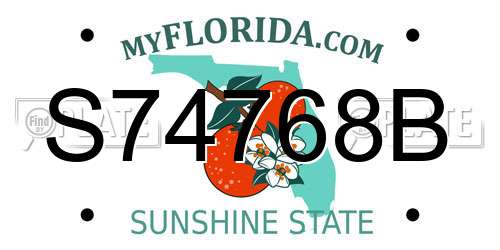 S74768B Florida License Plate