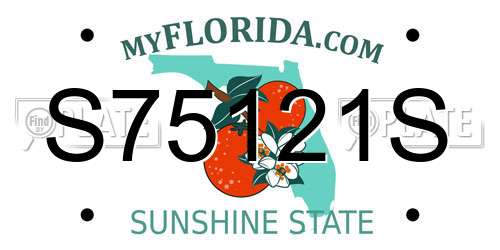 S75121S Florida License Plate