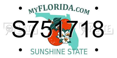 S751718 Florida License Plate