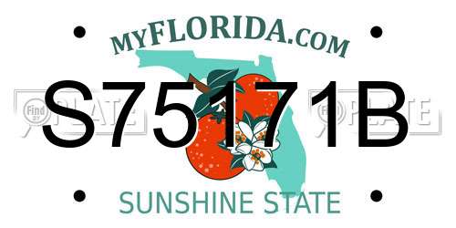 S75171B Florida License Plate