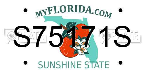 S75171S Florida License Plate