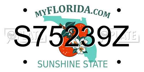 S75239Z Florida License Plate