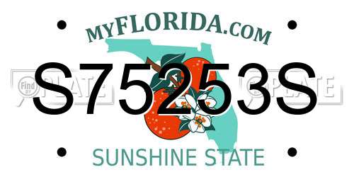 S75253S Florida License Plate