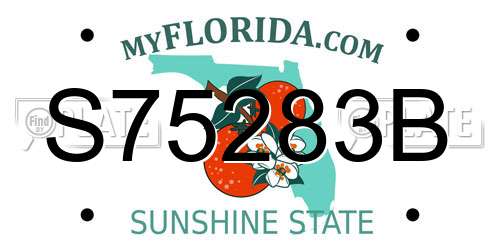 S75283B Florida License Plate