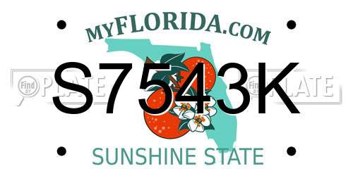 S7543K Florida License Plate