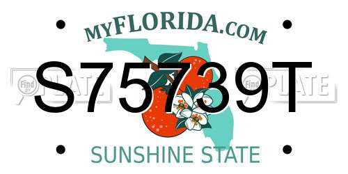 S75739T Florida License Plate
