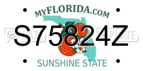 S75824Z Florida License Plate