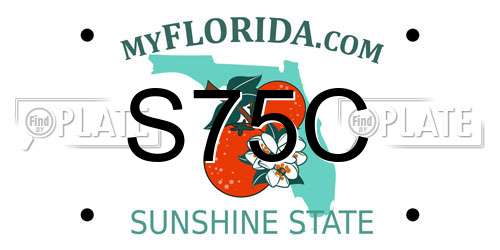 S75C Florida License Plate