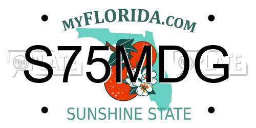 S75MDG Florida License Plate