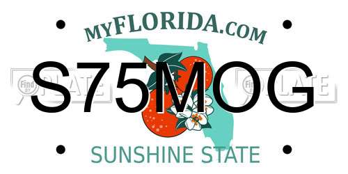 S75MOG Florida License Plate
