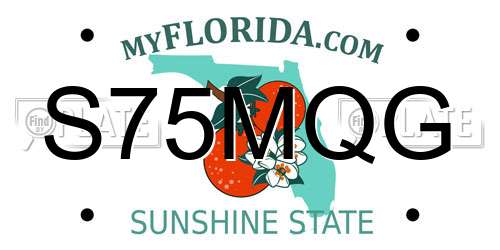 S75MQG Florida License Plate