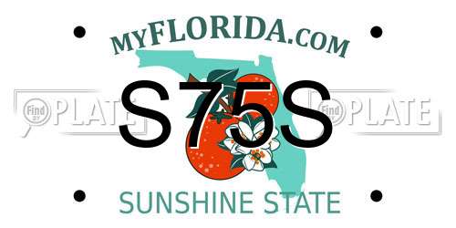 S75S Florida License Plate