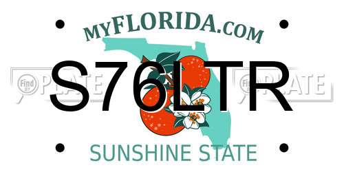 S76LTR Florida License Plate