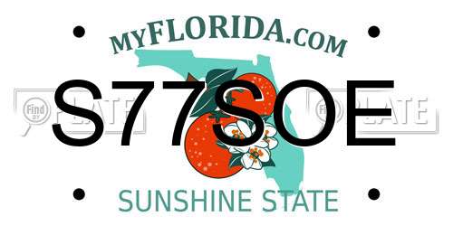 S77SOE Florida License Plate