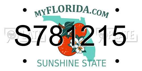 S781215 Florida License Plate