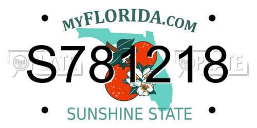 S781218 Florida License Plate