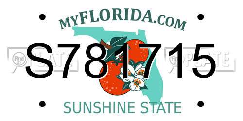 S781715 Florida License Plate