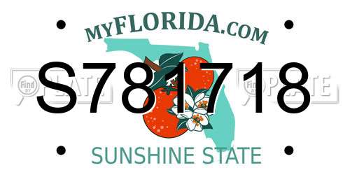 S781718 Florida License Plate