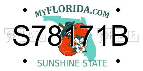 S78171B Florida License Plate