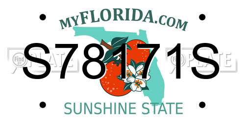 S78171S Florida License Plate