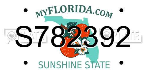 S782392 Florida License Plate