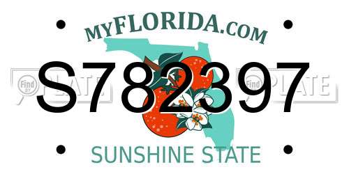 S782397 Florida License Plate