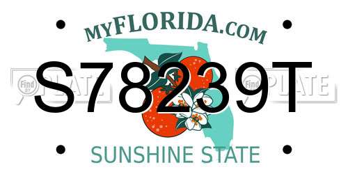S78239T Florida License Plate