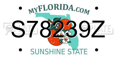 S78239Z Florida License Plate