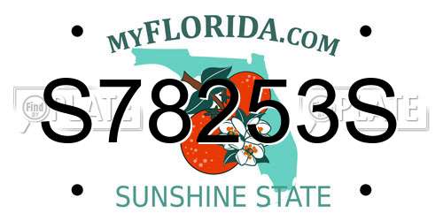 S78253S Florida License Plate