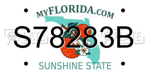 S78283B Florida License Plate