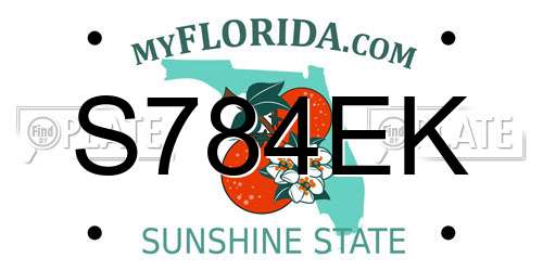 S784EK Florida License Plate