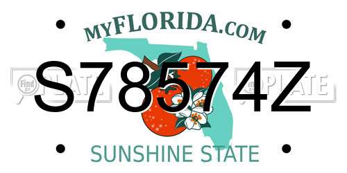 S78574Z Florida License Plate