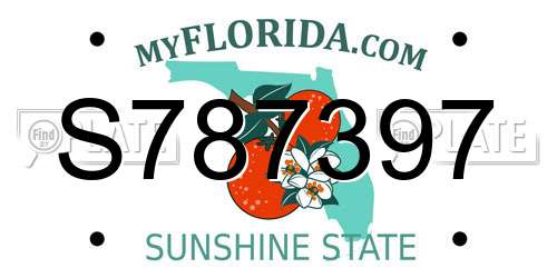 S787397 Florida License Plate