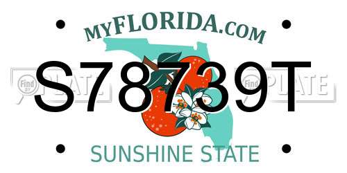 S78739T Florida License Plate