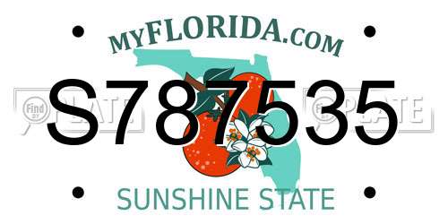 S787535 Florida License Plate