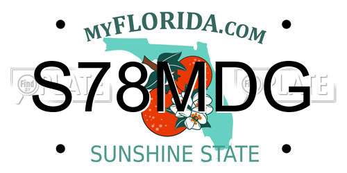 S78MDG Florida License Plate