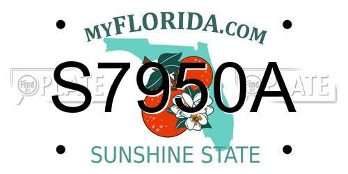 S7950A Florida License Plate