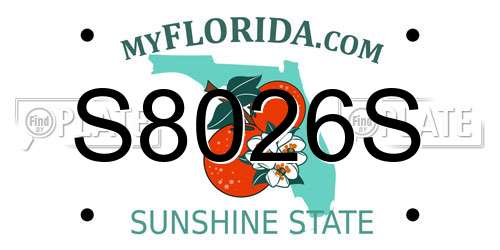 S8026S Florida License Plate