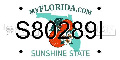 S80289I Florida License Plate