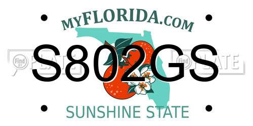 S802GS Florida License Plate