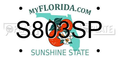 S803SP Florida License Plate