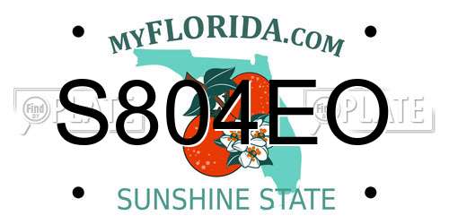 S804EO Florida License Plate