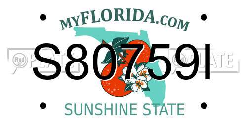 S80759I Florida License Plate