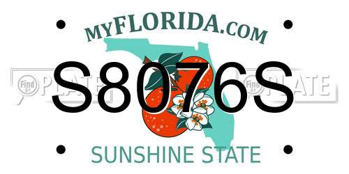 S8076S Florida License Plate