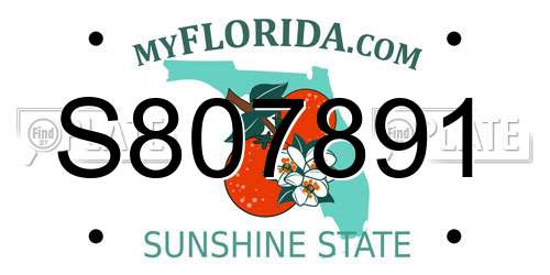 S807891 Florida License Plate